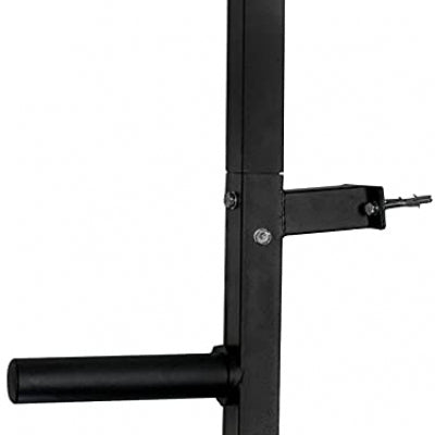 Swiss Olympic Weight Plate Wall Storage