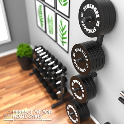 Swiss Olympic Weight Plate Wall Storage