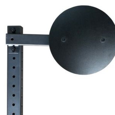 Swiss Wall Ball Target