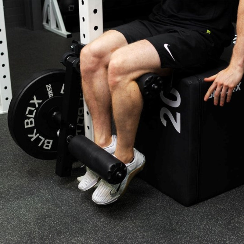Leg Extension / Leg Curl Rig Attachment