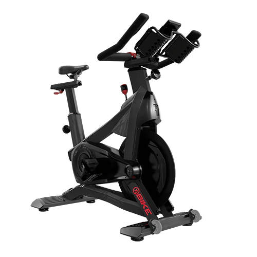 Schwinn Model X Bike
